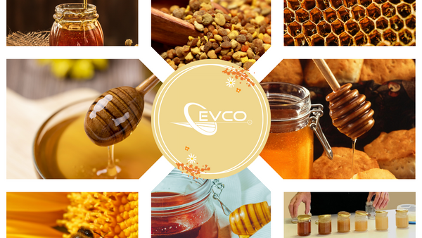 Animation dégustation de miel et produit de la ruche - EVCO - ABEILLES & ENVIRONNEMENT