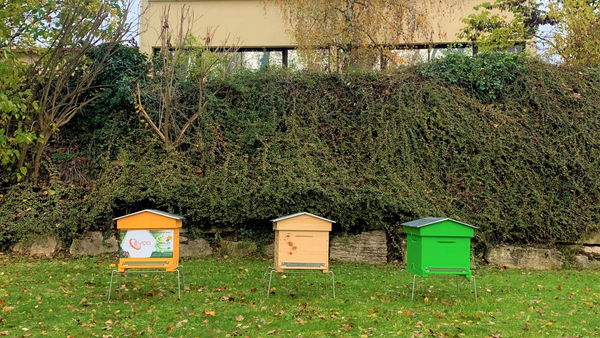 Ruches - Abeilles - Environnement - Installation des ruches - EVCO