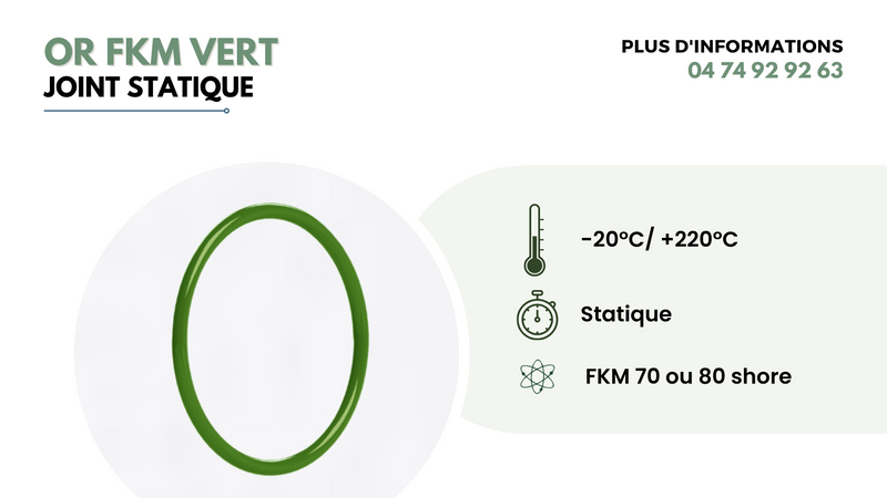 Joint statique - OR FKM - EVCO